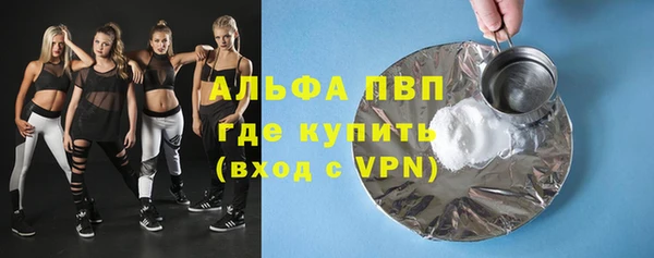 стаф Абинск