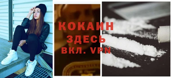стаф Абинск