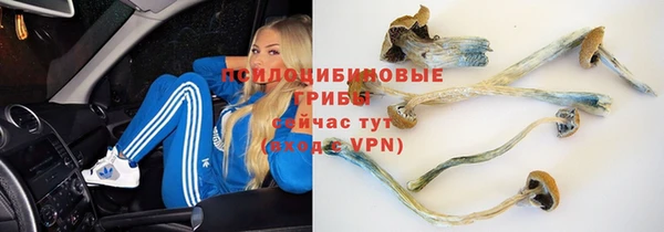стаф Абинск