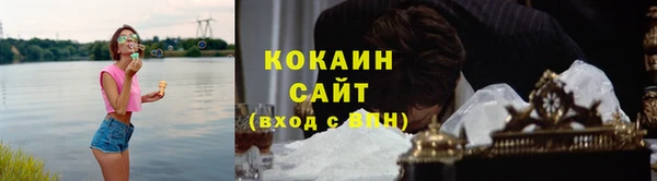 стаф Абинск